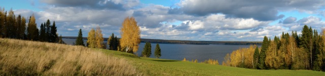 Jin Nothmann, Psy. D. Rotating Header Image