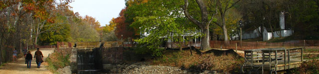 Jin Nothmann, Psy. D. Rotating Header Image